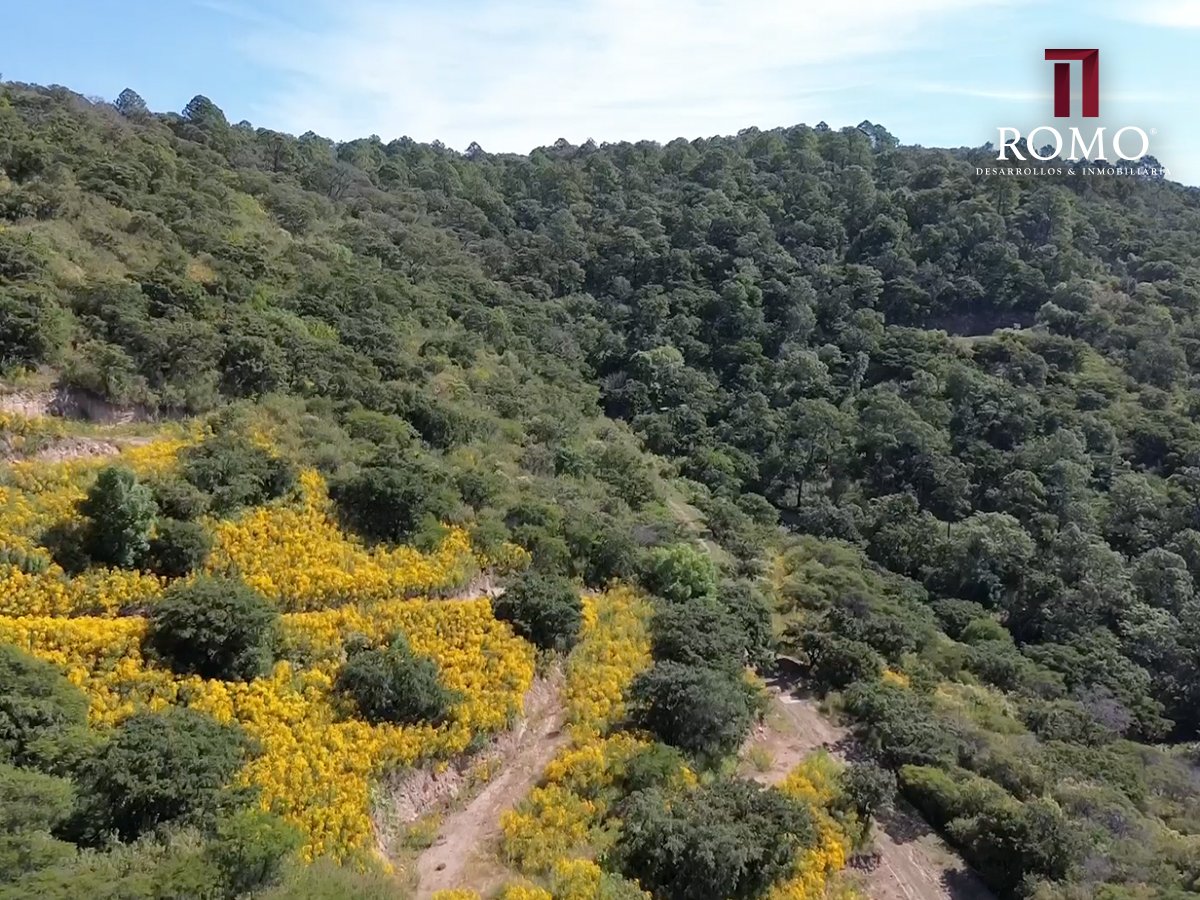Terrenos en venta en Reserva Los Magos $2'900,000.00 MN