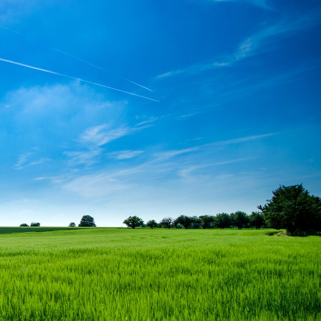 Open green field beneath a blue sky, with scattered trees along the horizon.