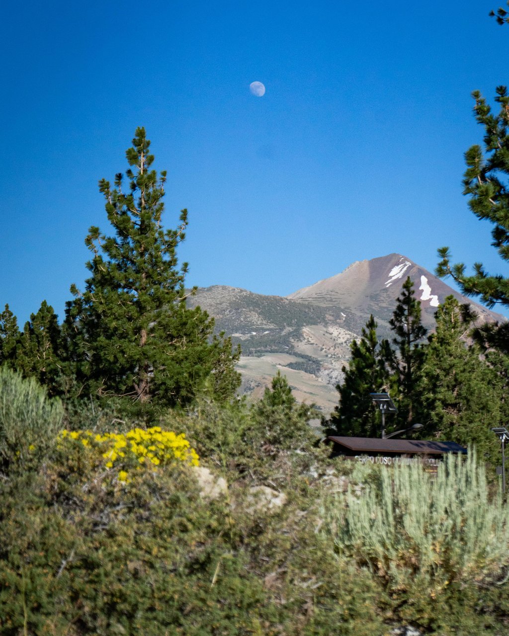 Mountain peak with patches of snow, framed by pine trees beneath a pale daytime moon.
