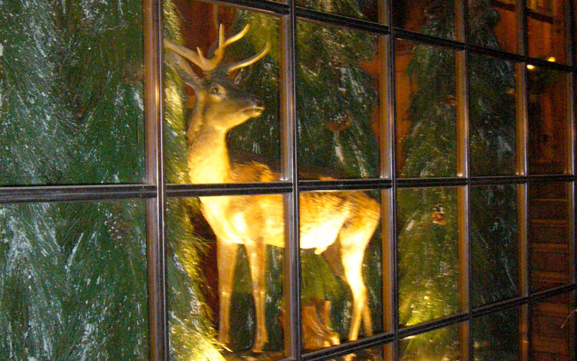 dd81nqegi141jm49fuuox4f0