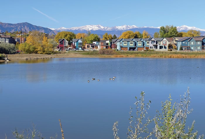 North End Subdivision in Louisville, CO: A Buyer's Guide