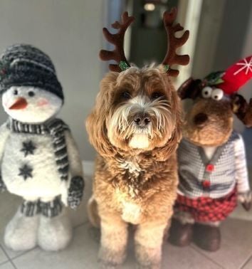 December 2025 Newsletter