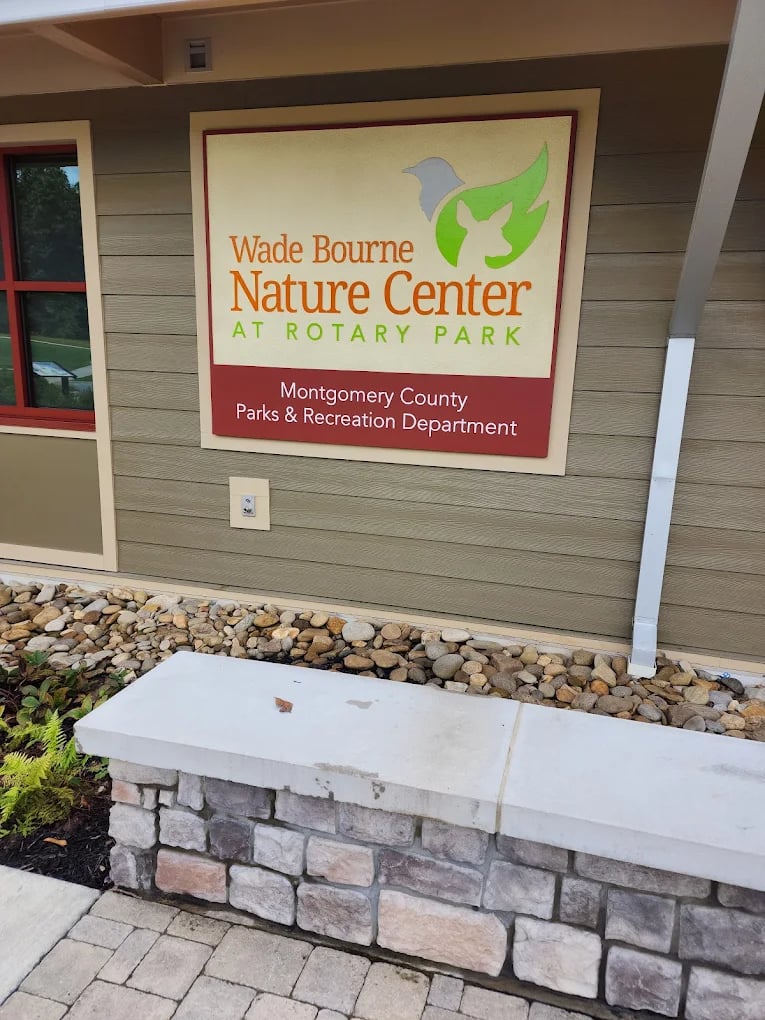 Living in Clarksville, TN in the Spring: Events, Outdoor Fun, and the Best Saturday Spots