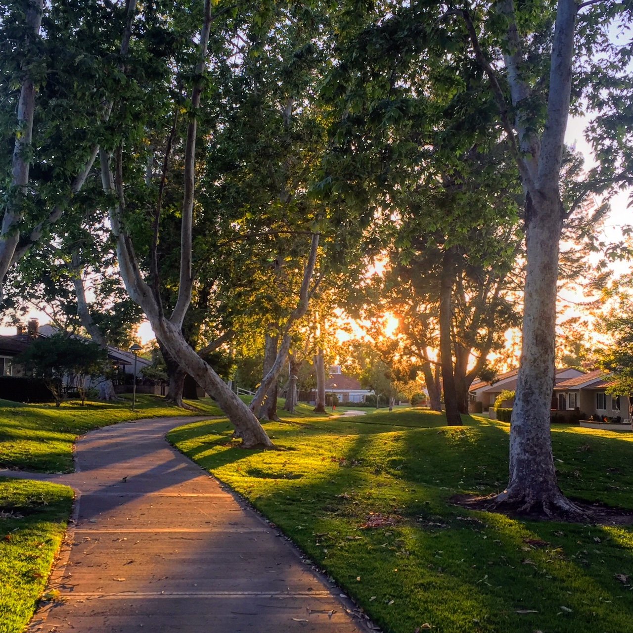 University Community Park 
