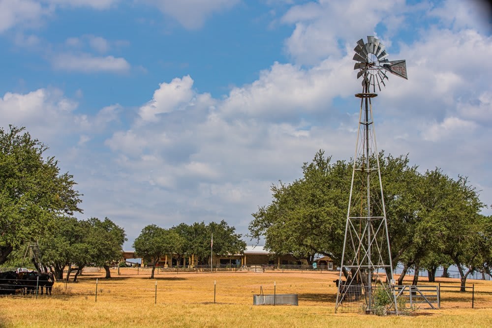 Dog Tick Ranch