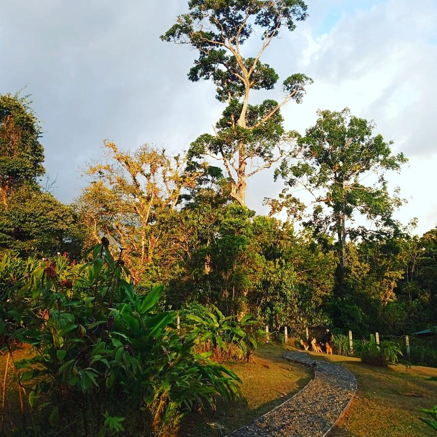 Eco Property Media Luna