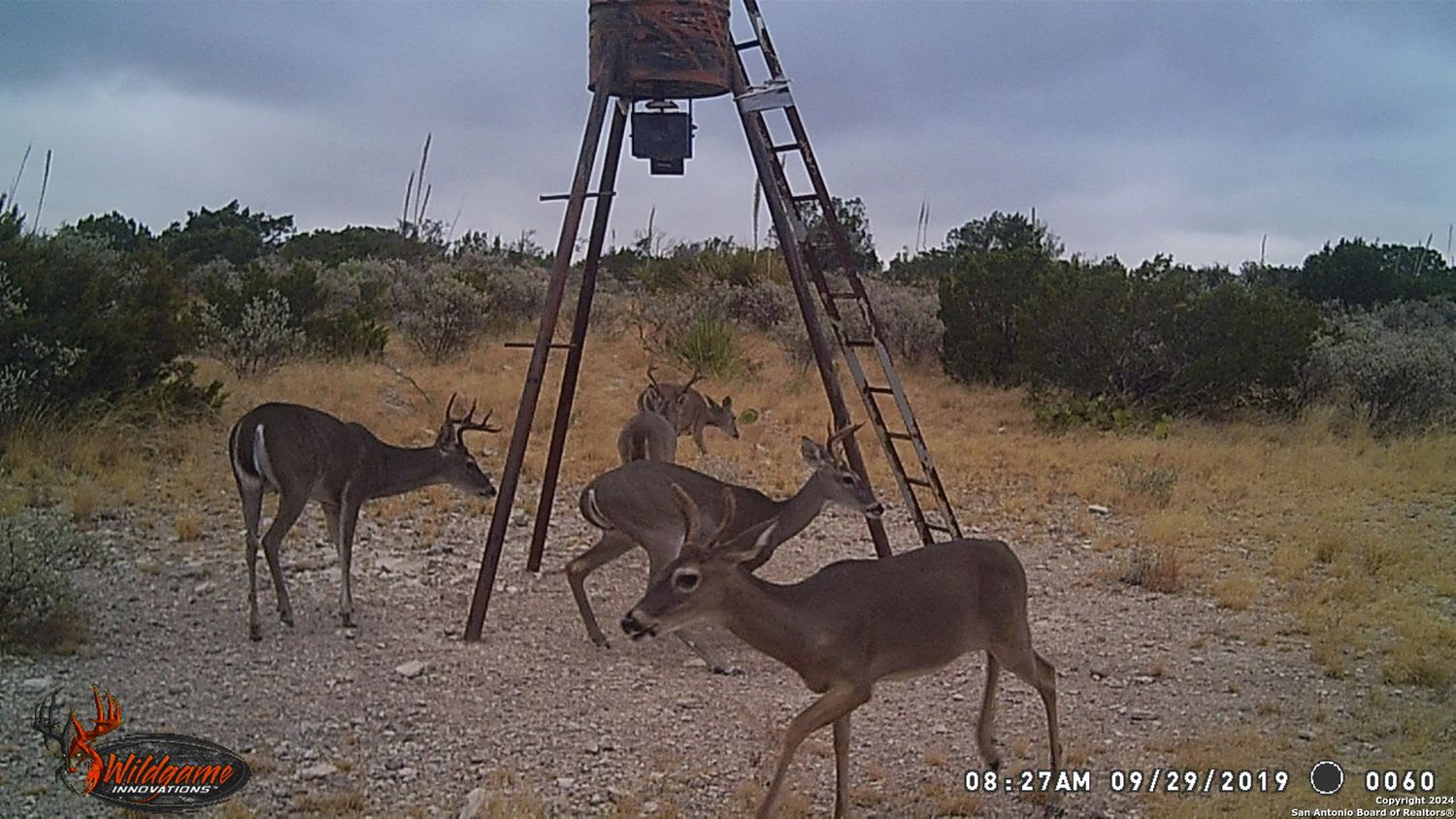 000 Ward Ranch Rd