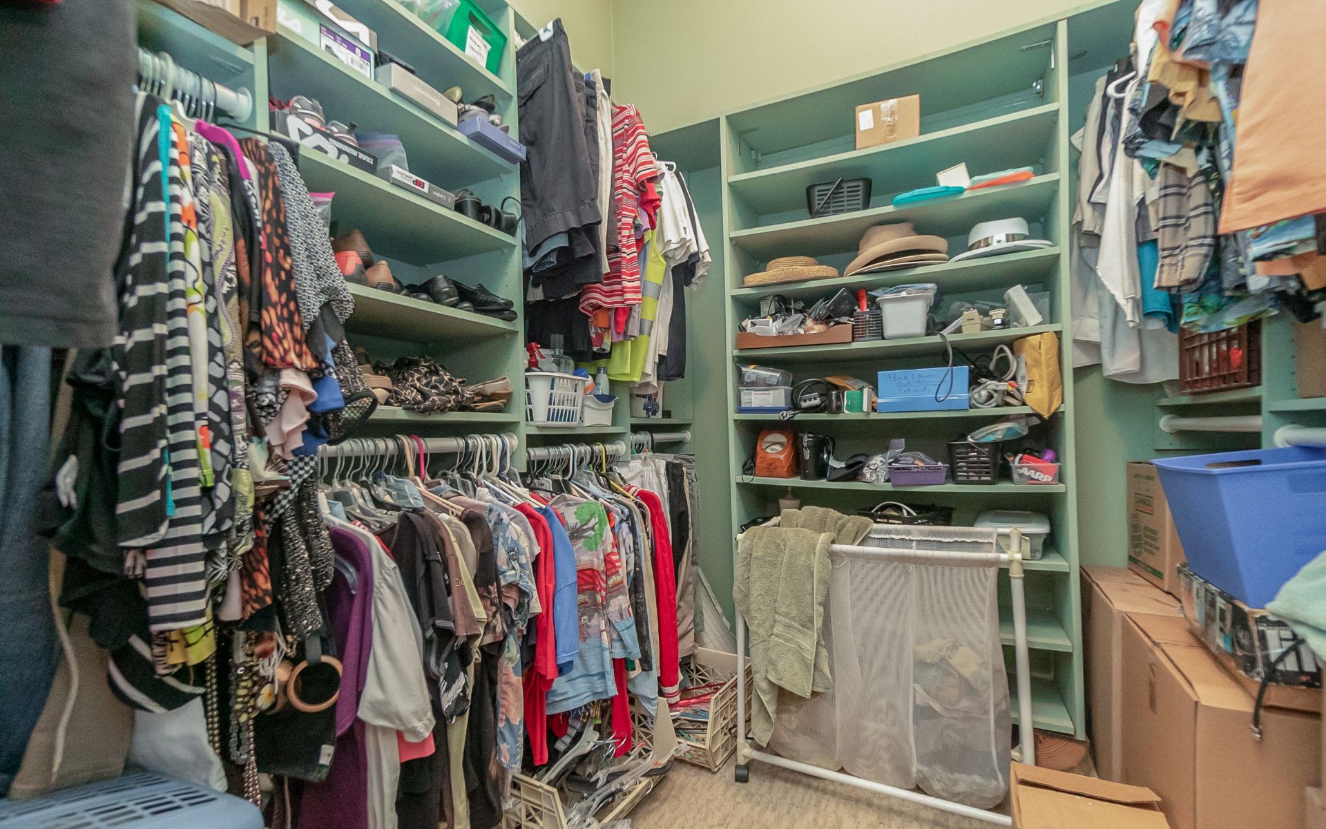 Walk-in closet with green built-in shelving, hanging clothes, and a laundry hamper.