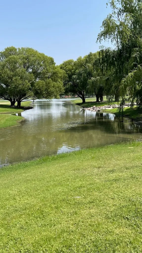 Neighborhood pond bordered by green grass, leafy trees, and rocks.