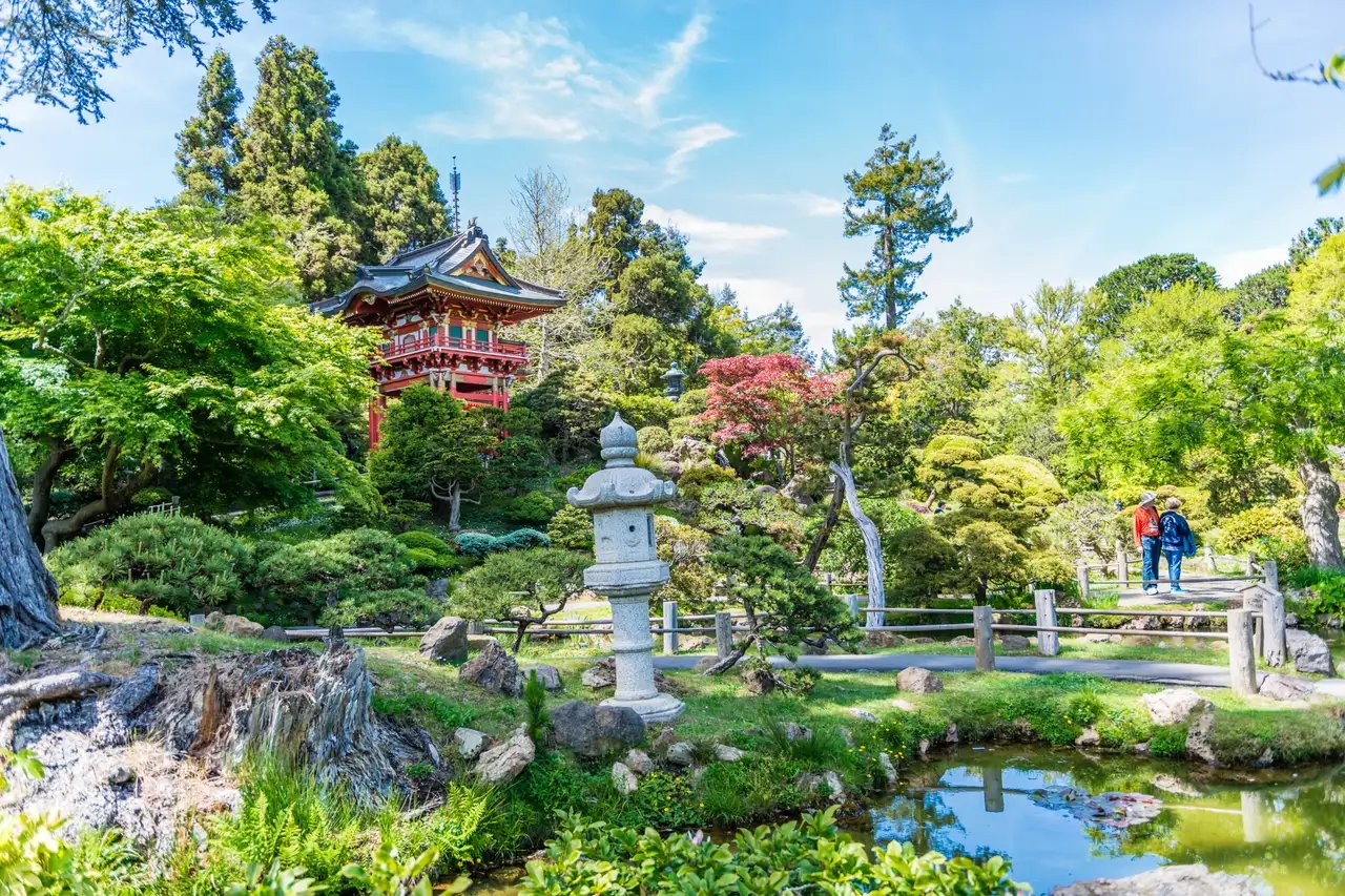 Visitors walking through the Japanese Tea Garden with cherry blossoms in bloom, showing the traditional architecture and peaceful pathways