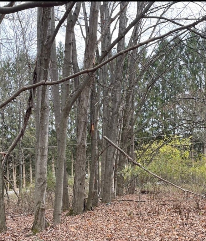 158 Piper Rd
