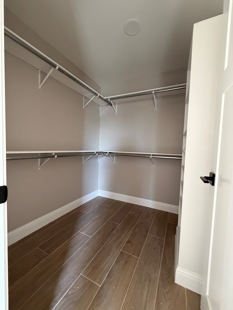 3204 Calle Teresa