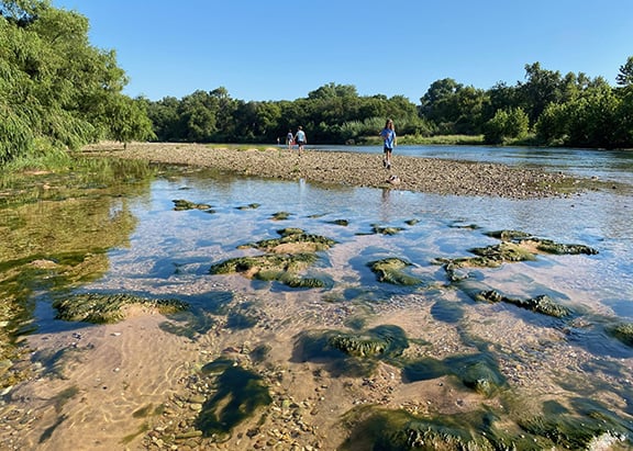 Guest houses with green lawn