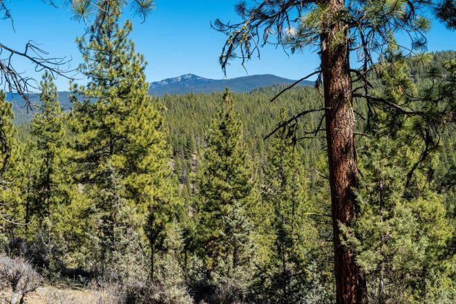 24302 Ochoco Ranger Station Rd