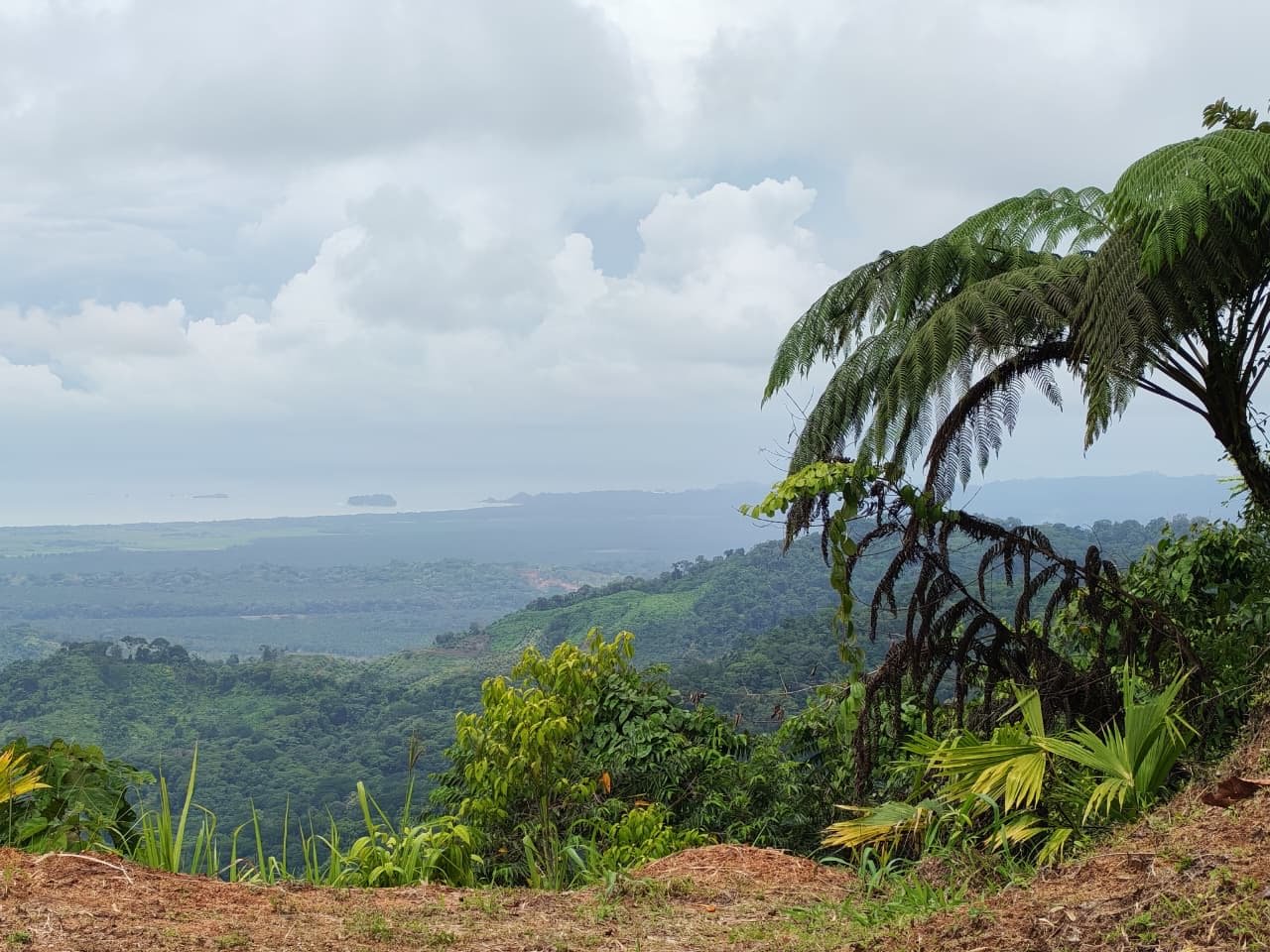 Off-Grid Mountain & River View Estate — 4.94 Acres | Sea Views | San Cristóbal de Aguirre