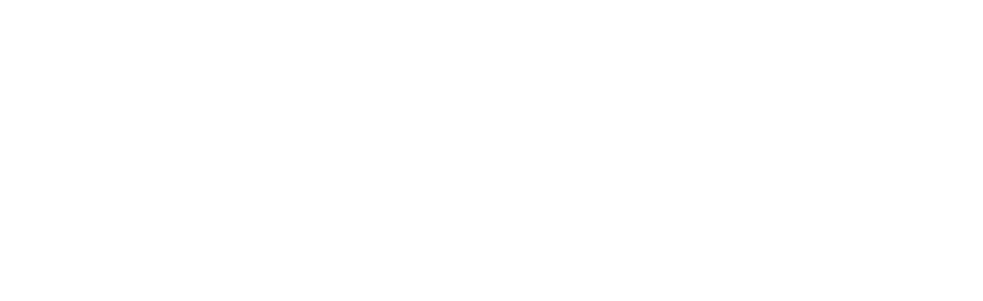 Light Logo