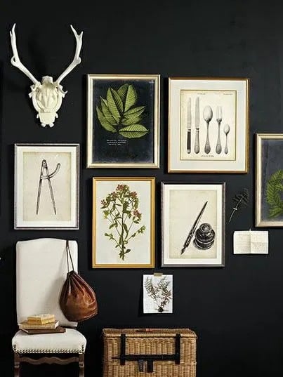 Bold Wall Color