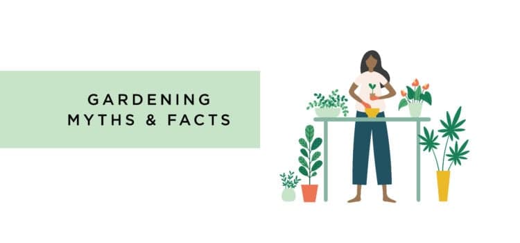 Gardening Myths & Facts