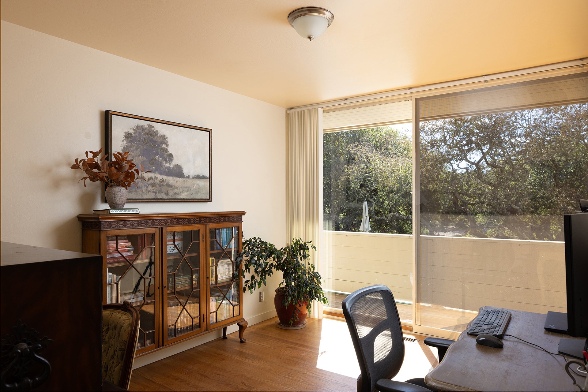 Carmel Valley Oasis