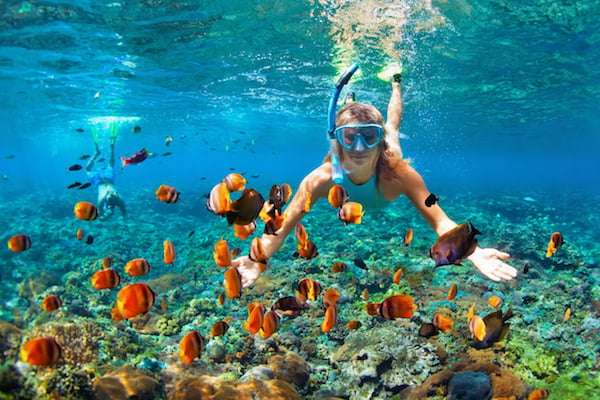 Local Events in Key Colony Beach: Why Community Life Makes This Florida Keys Gem So Special