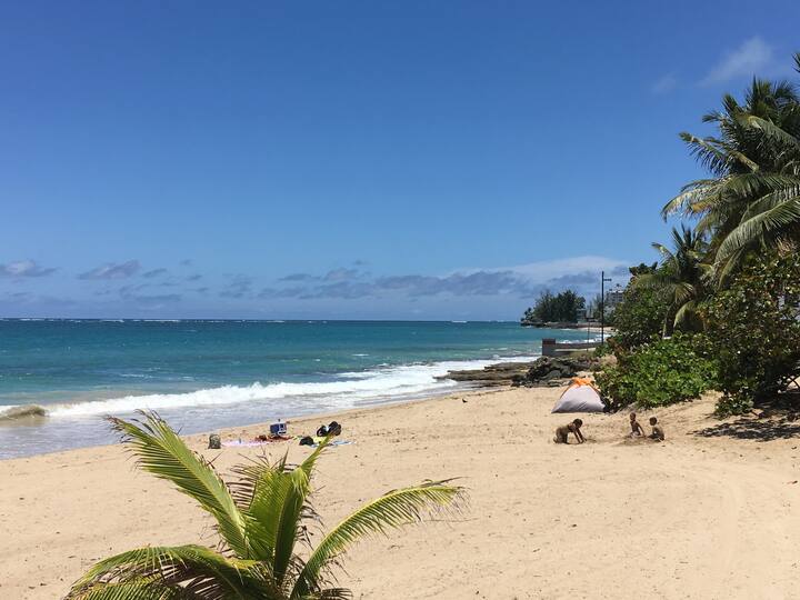 Beach House Apt 7 • Studio w/ Kitchenette • Beach - Airbnb