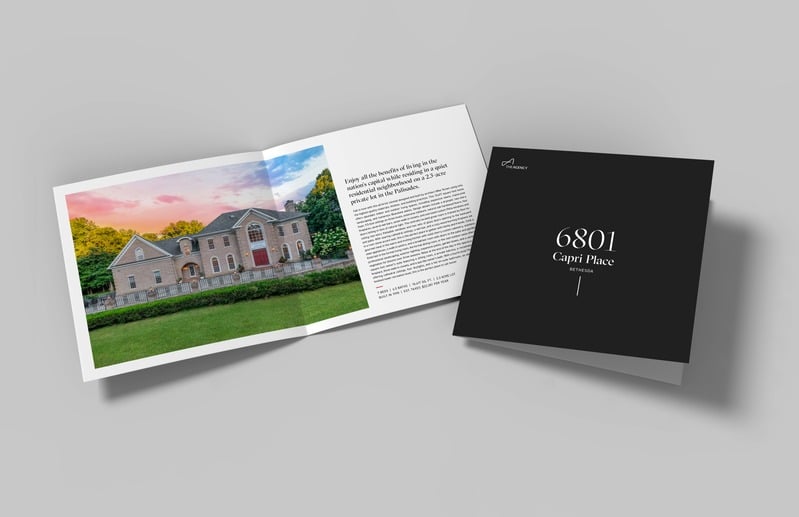 Professional Brochure