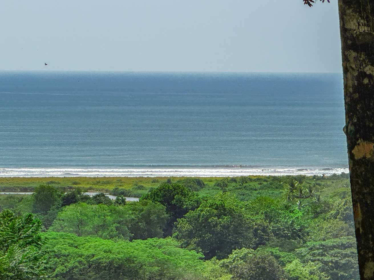 23-Acre Prime Highway Frontage Lot Near Ojochal & Ocean