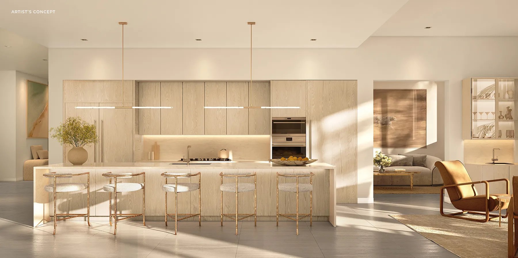 Chef-worthy kitchen