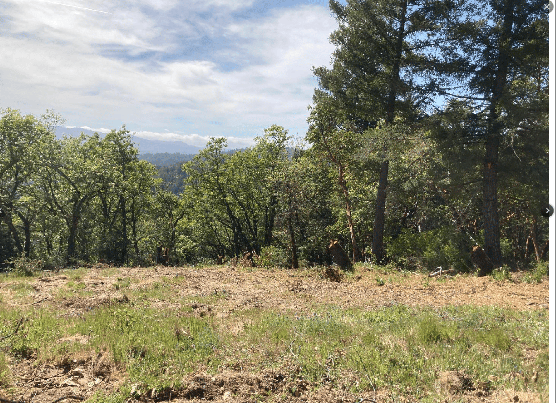 19089 Skyline Boulevard