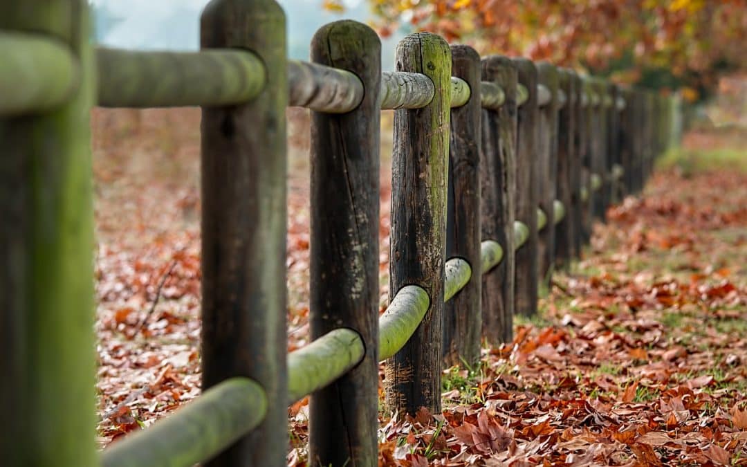 U.S. Real Estate Fencing Market Forecast To Reach $14.1 Billion By 2032