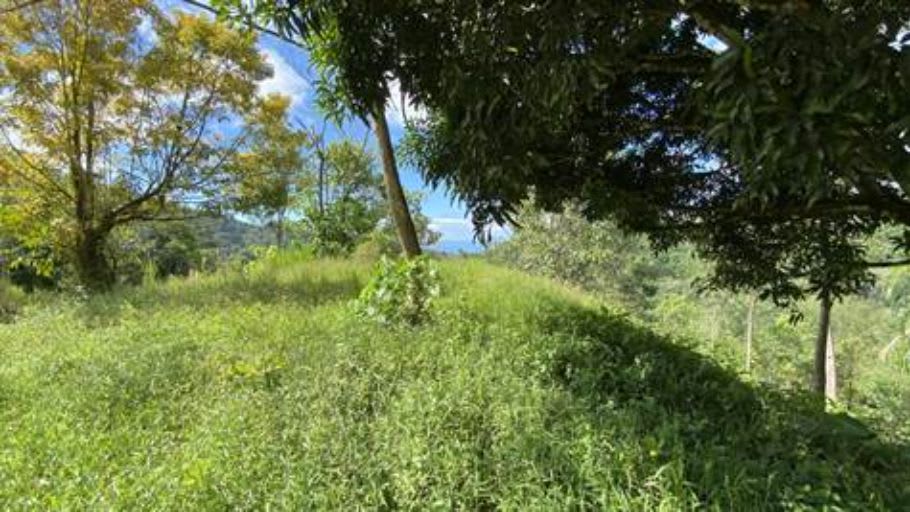 Garden of Eden, Whales Tale View