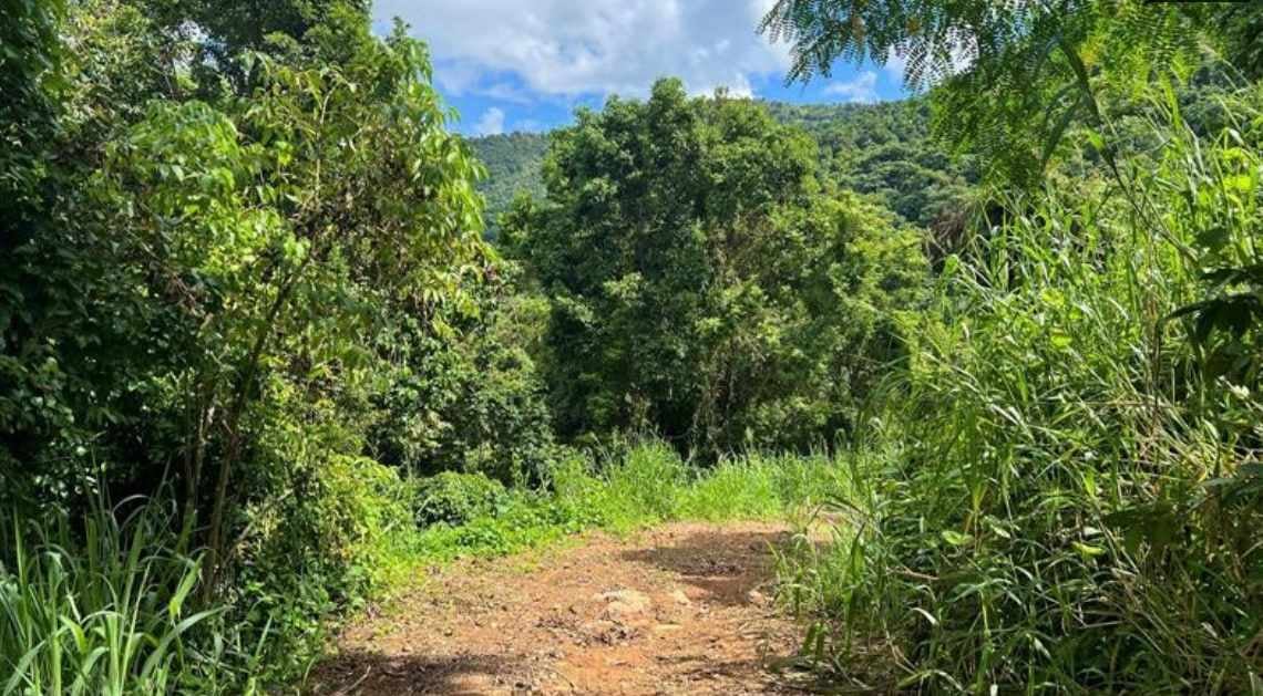 MonteCielo Riverfront Property