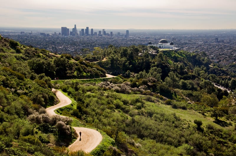 Hiking in Los Feliz