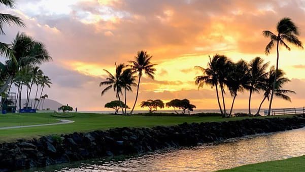 Sony Open 2023