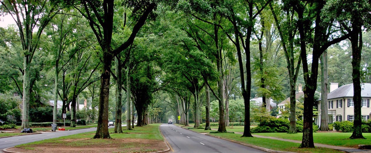 Myers Park: A Prime Neighborhood in Charlotte, North Carolina