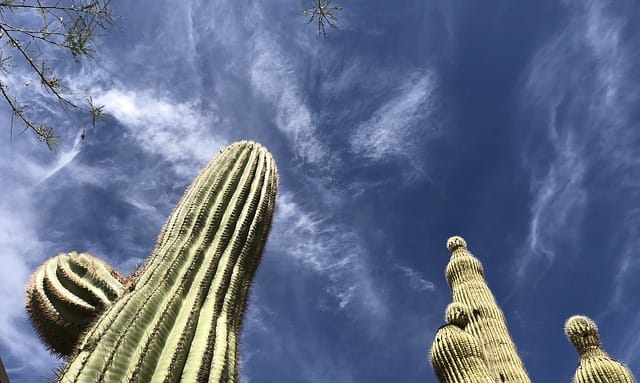 Housing Market Continues to Challenge Buyers in Phoenix Metro