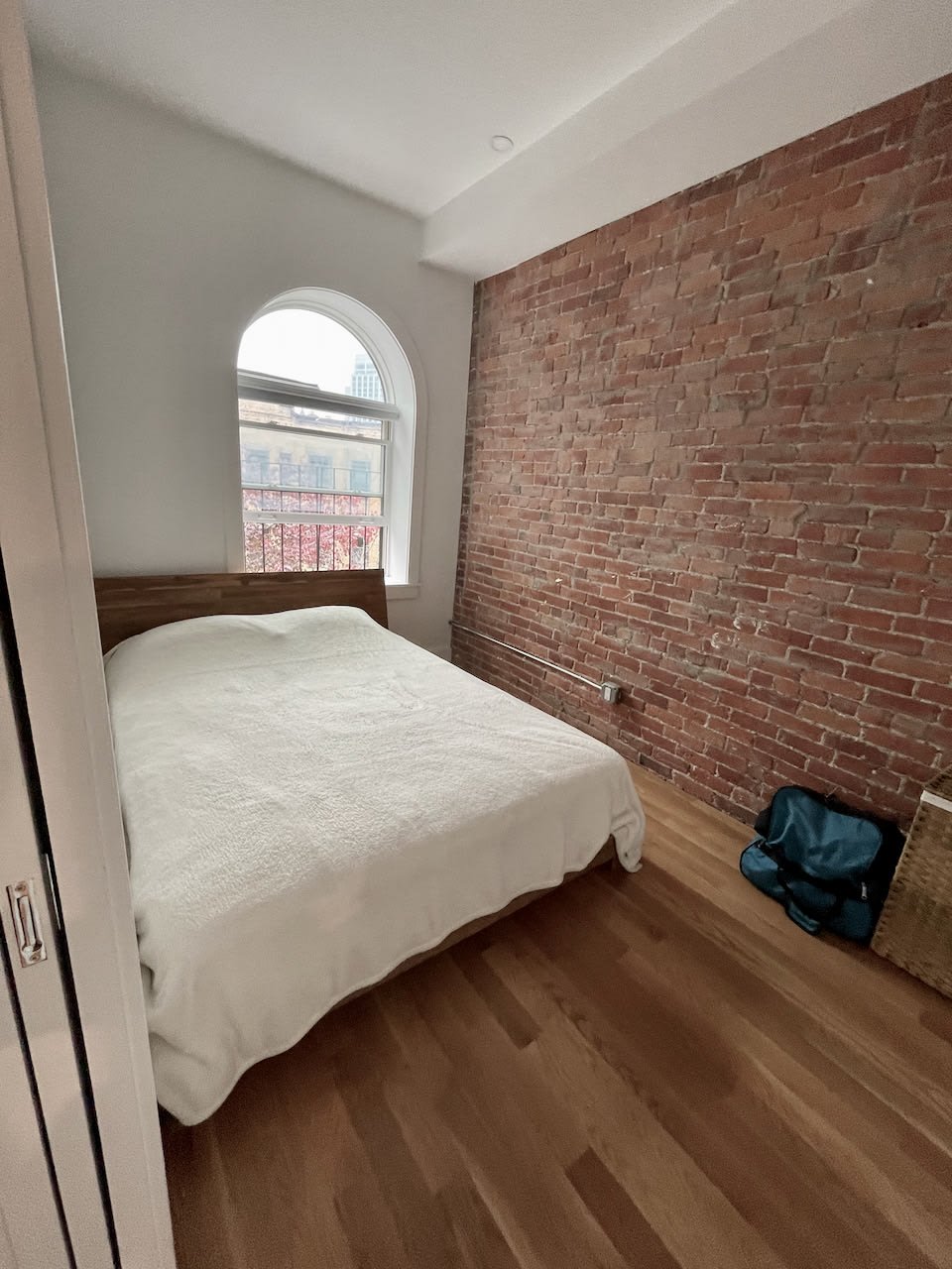 Gut Renovated 1 bed 1 bath on South End/Back Bay Border - Common Laundry - JANUARY 1 or slightly before! 