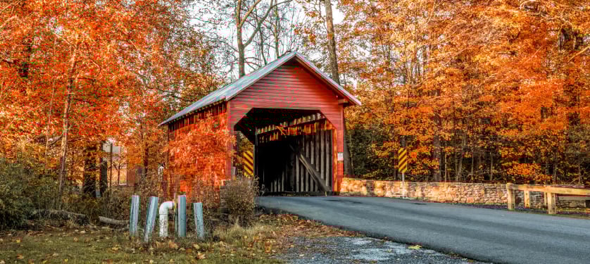 Unlocking Opportunities: Why Fall in Frederick County, Maryland is Ideal for Real Estate