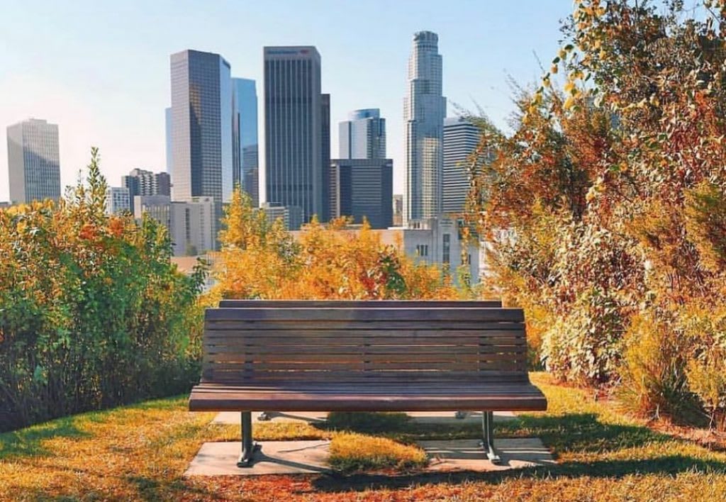 Q&A With Carolyn Ramsay, Executive Director, LA Parks Foundation