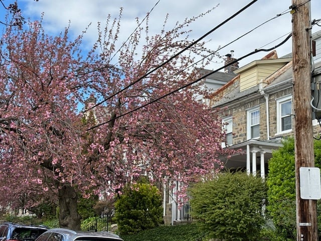 Bellmont Village Home 