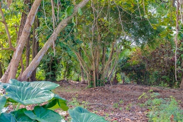 New Listing: 3671 Anini Road, Kilauea