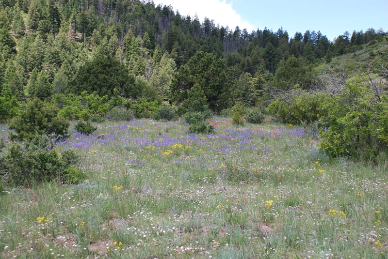 Elk Mountain Ranch