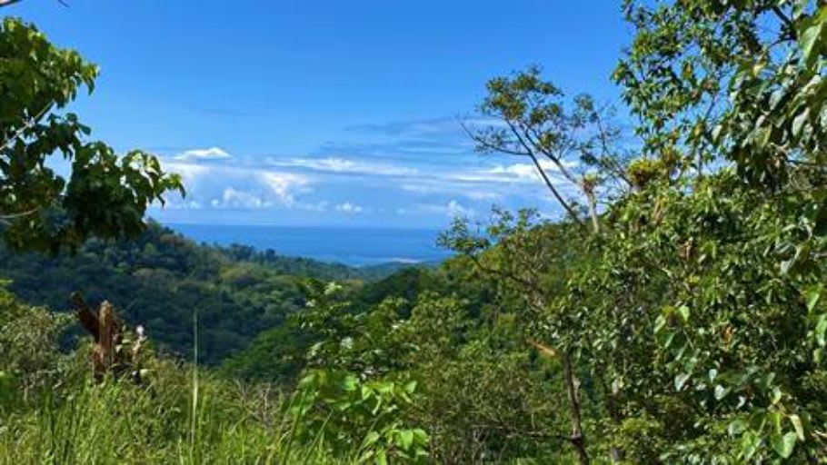 Garden of Eden, Whales Tale View