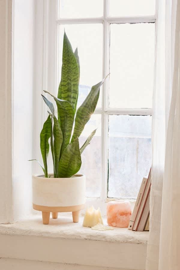 desert hues Nest Realty