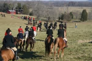 Whoa there! Country property considerations when owning a horse