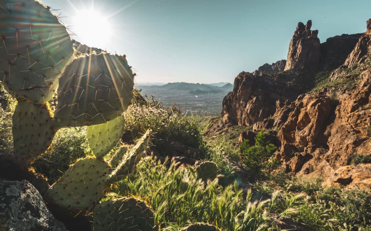 Breathtaking desert landscape with mountains, cacti, and wildflowers, perfect for luxury estate with panoramic views.