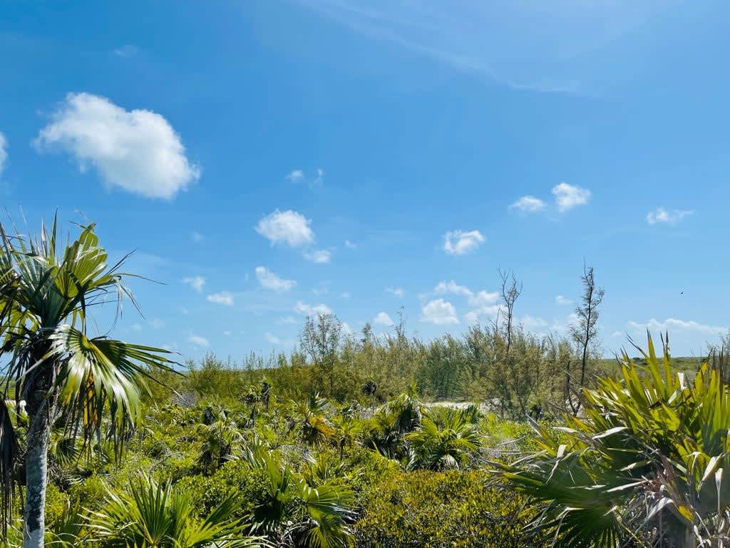 Hawks Nest Cay Cat Island