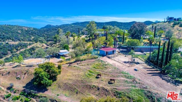 1172 ENCINAL CANYON RD