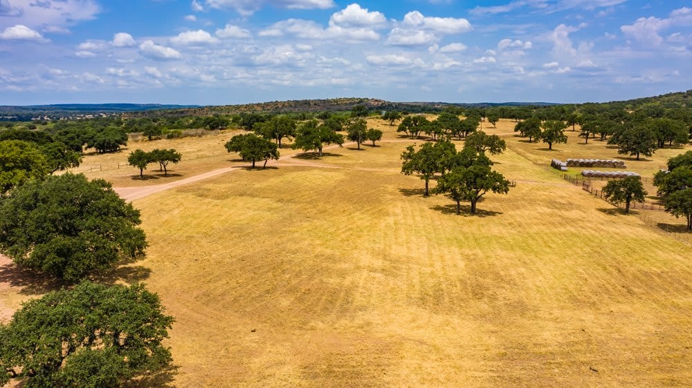 Dog Tick Ranch