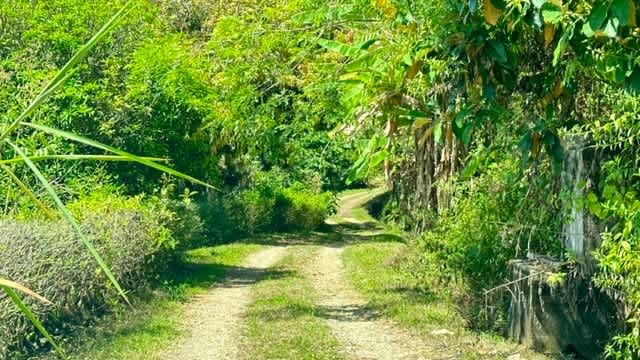 Ocean View Lot Ready to Build, Playa Ventanas! 